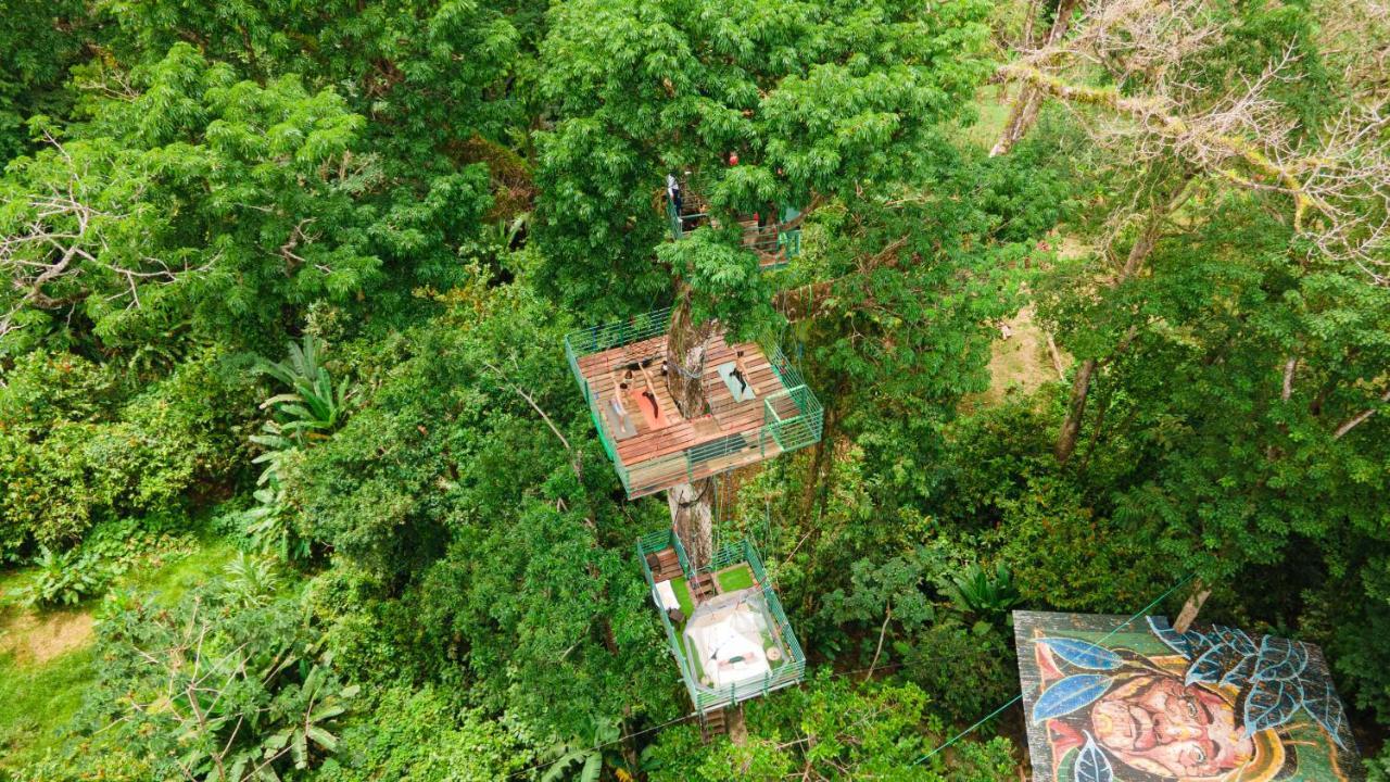 Hotel Boutique The Green Jungle House Puerto Viejo de Talamanca 외부 사진