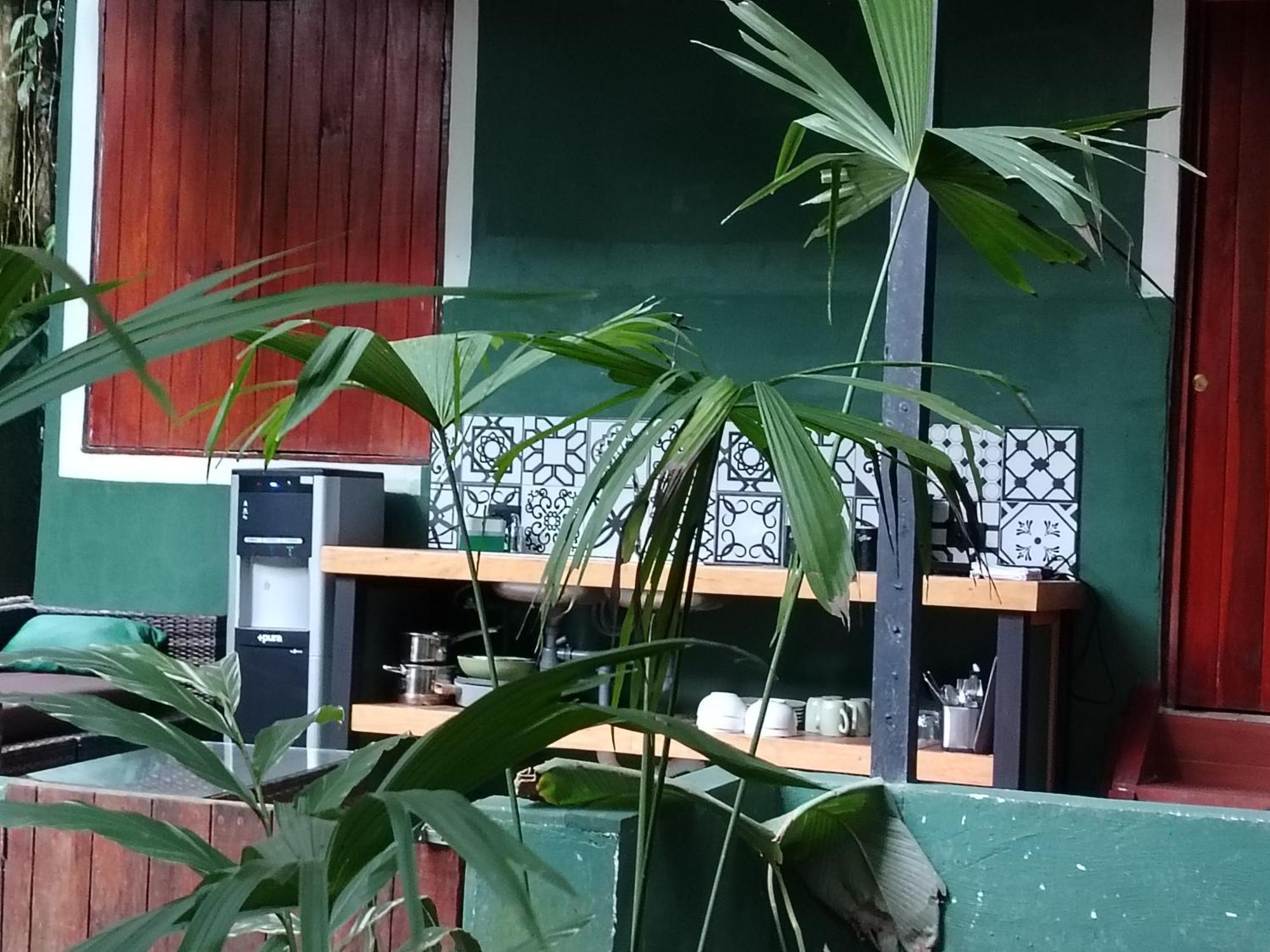 Hotel Boutique The Green Jungle House Puerto Viejo de Talamanca 외부 사진